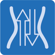 Kidney Function & Detox