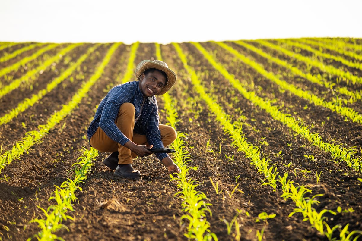 Agricultural impact of phosphorus